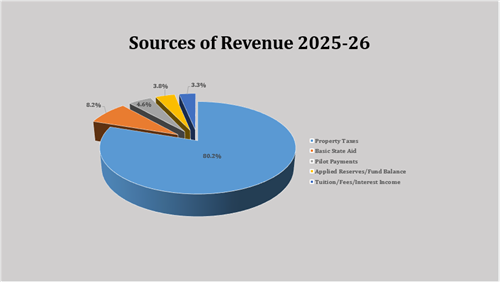 sources of revenue 2025